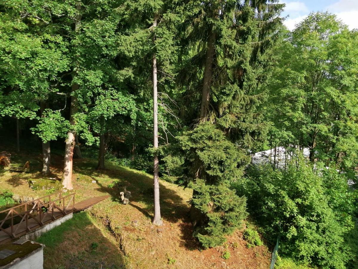 Parkhotel Forest Mariánské Lázně Exteriör bild